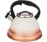 Чайник Agness Mercury со свистком, 3 л с индукционным капсульным дном 907-075 1
