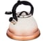 Чайник Agness Mercury со свистком, 3 л с индукционным капсульным дном 907-075 3
