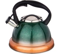 Чайник Agness Vulcano со свистком, 3 л с индукционным капсульным дном 907-076