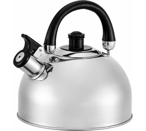 Чайник Webber BE-0528 из нержавеющей стали 4.5 л 12 0R-00006103