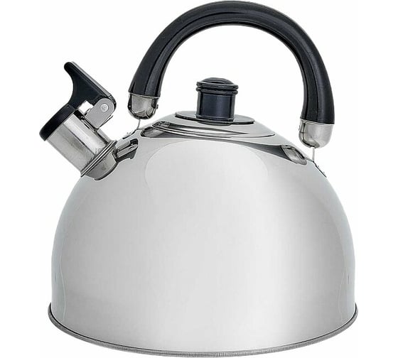 Чайник Webber BE-0528 из нержавеющей стали 4.5 л 12 0R-00006103