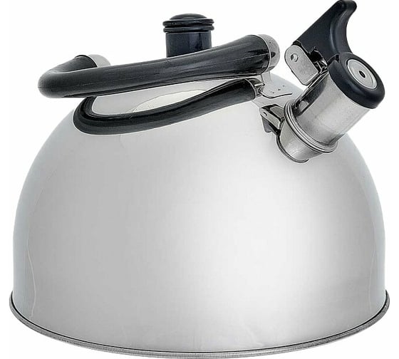 Чайник Webber BE-0528 из нержавеющей стали 4.5 л 12 0R-00006103