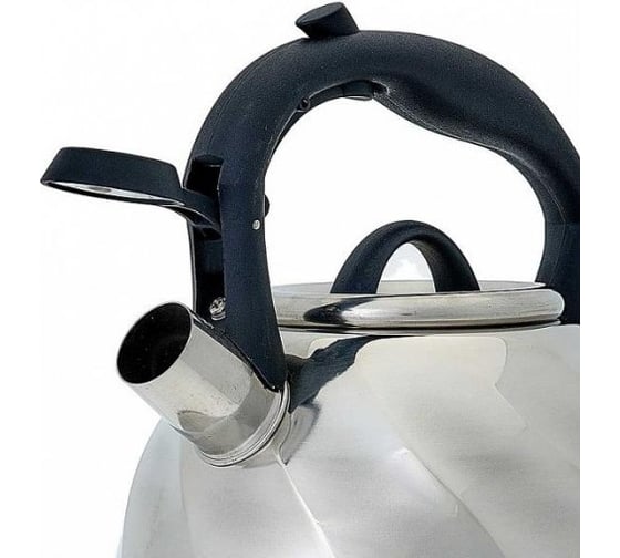 Чайник Webber BE-0525 из нержавеющей стали 3 л, капсулированное дно 12 0R-00006099