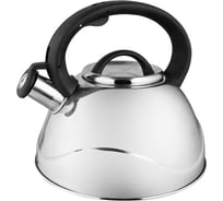 Чайник Webber BE-0524 из нержавеющей стали 3 л, капсулированное дно 12 0R-00006098