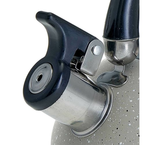 Чайник Webber BE-0538 из нержавеющей стали 2.5 л, индукционное дно 12 Р1-00007838