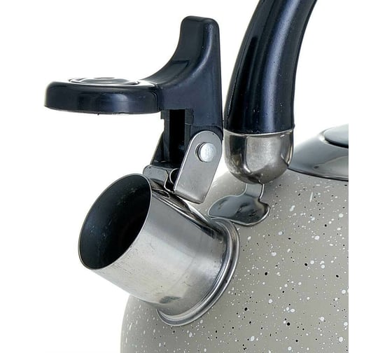 Чайник Webber BE-0538 из нержавеющей стали 2.5 л, индукционное дно 12 Р1-00007838