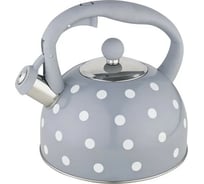 Чайник Webber BE-0576 из нержавеющей стали со свистком 2.7 л 0R-00006380