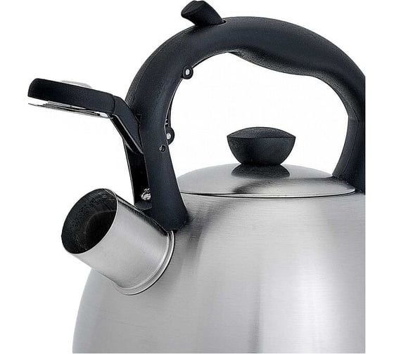 Чайник Webber BE-0578 R из нержавеющей стали 2 л, со свистком 12 0R-00006967