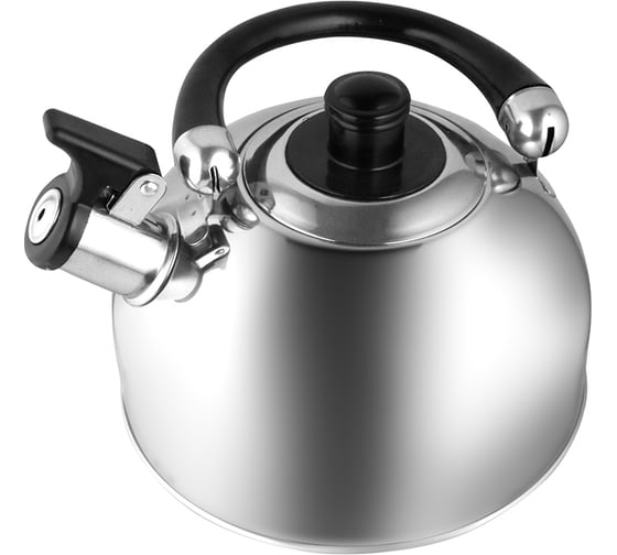 Чайник Webber BE-0527 из нержавеющей стали 3.5 л 12 0R-00006101