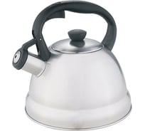 Чайник Webber BE-0577 R из нержавеющей стали 2 л, со свистком 12 0R-00006966