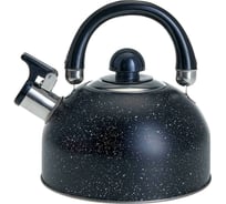 Чайник Webber BE-0539 из нержавеющей стали 2.5 л, индукционное дно 12 Р1-00007837