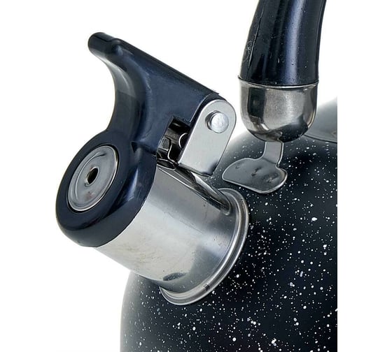 Чайник Webber BE-0539 из нержавеющей стали 2.5 л, индукционное дно 12 Р1-00007837