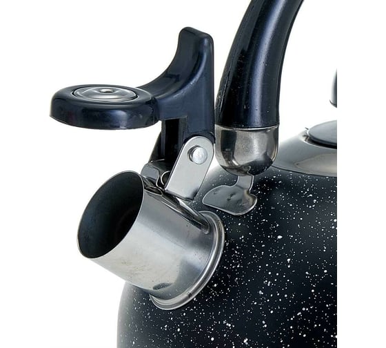 Чайник Webber BE-0539 из нержавеющей стали 2.5 л, индукционное дно 12 Р1-00007837