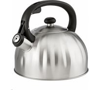 Чайник Webber BE-0595 R из нержавеющей стали 2.5 л, со свистком Р1-00004405