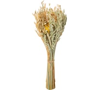 Коробка 6 букетов из сухих колосовых культур и луговых трав Стильный Дом 400 мм 40880