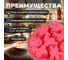 Силиконовая форма для выпечки PERFECTO LINEA насекомые 28x21.5x3.5 см розовый 20-000719 3