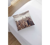 Декоративная наволочка JoyArty sl_54071