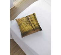 Декоративная наволочка JoyArty sl_18852