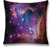 Декоративная наволочка JoyArty sl_10048