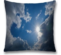 Декоративная наволочка JoyArty sl_13029