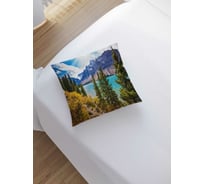 Декоративная наволочка JoyArty sl_32237