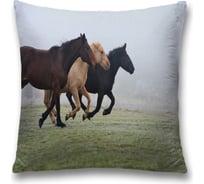 Декоративная наволочка JoyArty sl_16148