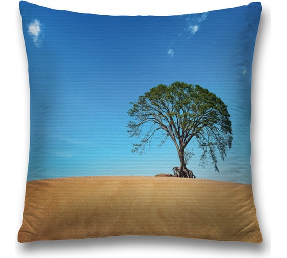 Декоративная наволочка JoyArty sl_17212