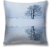 Декоративная наволочка JoyArty sl_17236