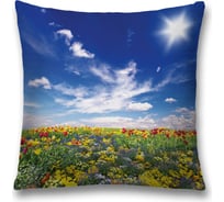 Декоративная наволочка JoyArty sl_13642