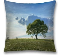 Декоративная наволочка JoyArty sl_17244