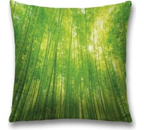 Декоративная наволочка JoyArty sl_13730