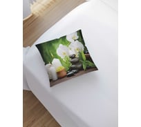 Декоративная наволочка JoyArty sl_21855