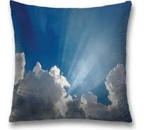 Декоративная наволочка JoyArty sl_13030