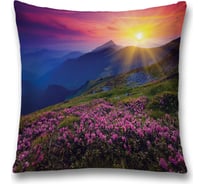 Декоративная наволочка JoyArty sl_13668