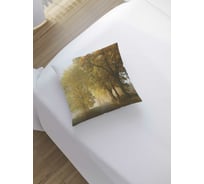 Декоративная наволочка JoyArty sl_18845