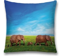 Декоративная наволочка JoyArty sl_13712