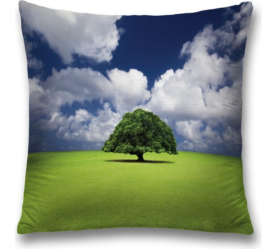 Декоративная наволочка JoyArty sl_17209