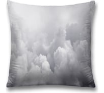 Декоративная наволочка JoyArty sl_13558