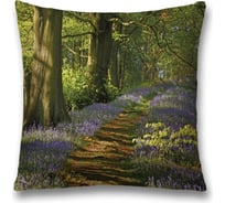 Декоративная наволочка JoyArty sl_16435