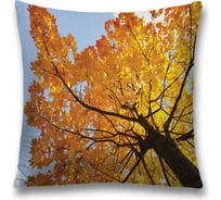 Декоративная наволочка JoyArty sl_16580