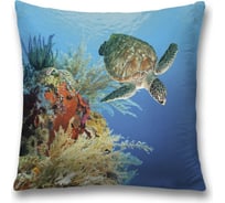 Декоративная наволочка JoyArty sl_35230