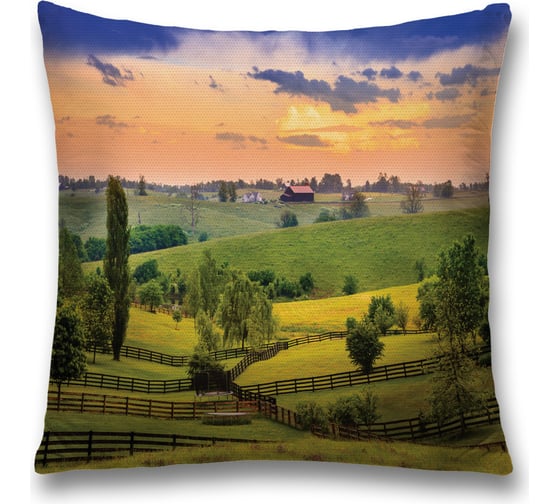 Декоративная наволочка JoyArty sl_13680