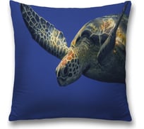 Декоративная наволочка JoyArty sl_35220