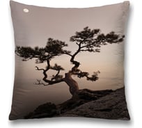 Декоративная наволочка JoyArty sl_17211