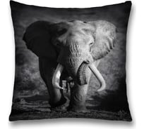 Декоративная наволочка JoyArty sl_13711