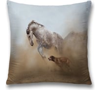 Декоративная наволочка JoyArty sl_16149