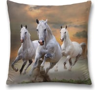 Декоративная наволочка JoyArty sl_16160