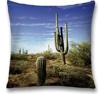 Декоративная наволочка JoyArty sl_15708