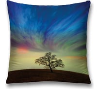 Декоративная наволочка JoyArty sl_17234