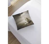 Декоративная наволочка JoyArty sl_12720